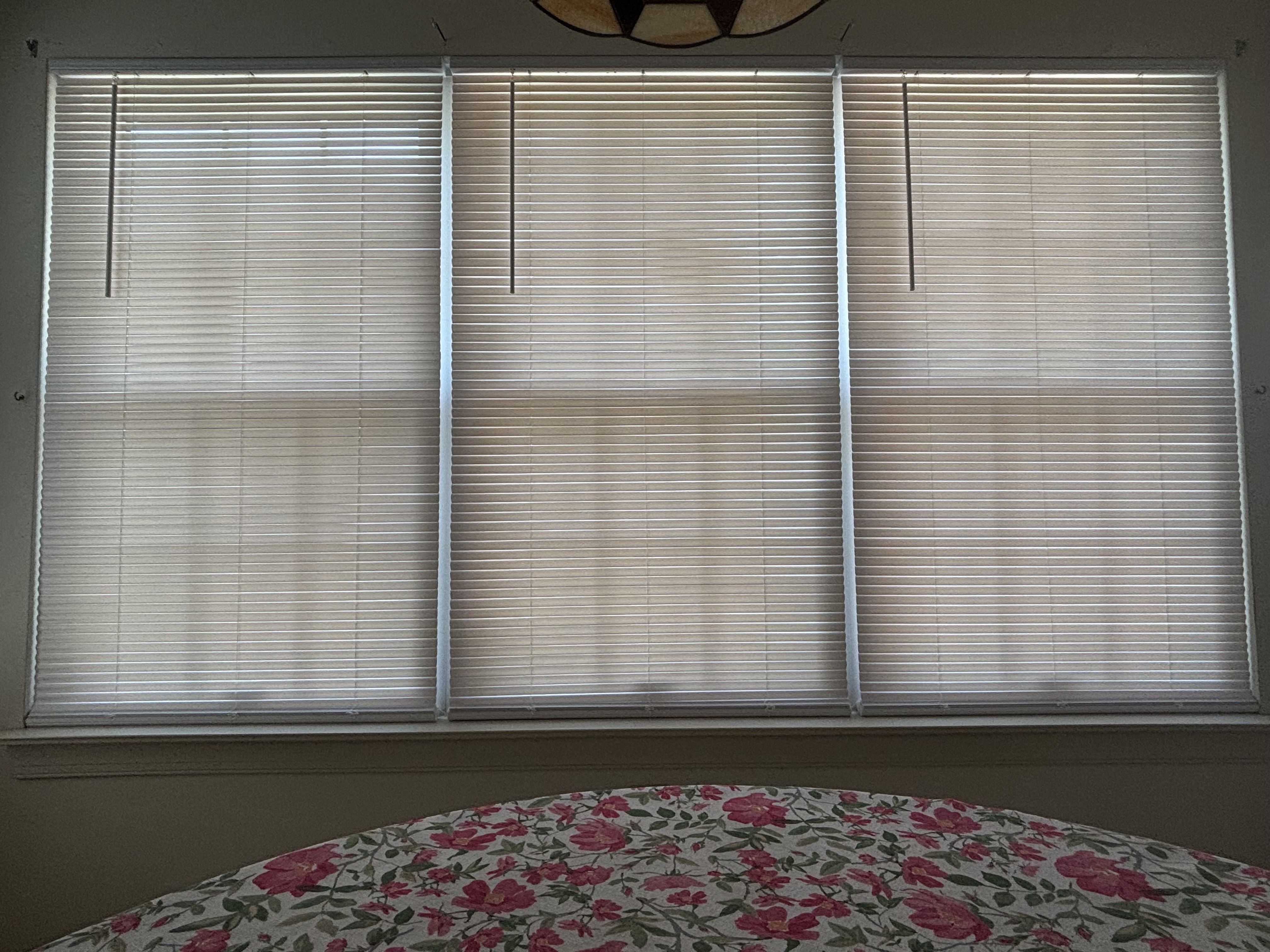 Mini Blinds installed in 19020